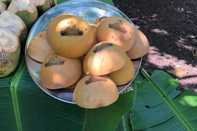 1 Day cocoa farm tour - Leaving Accra early: what the 7:30 am start really means