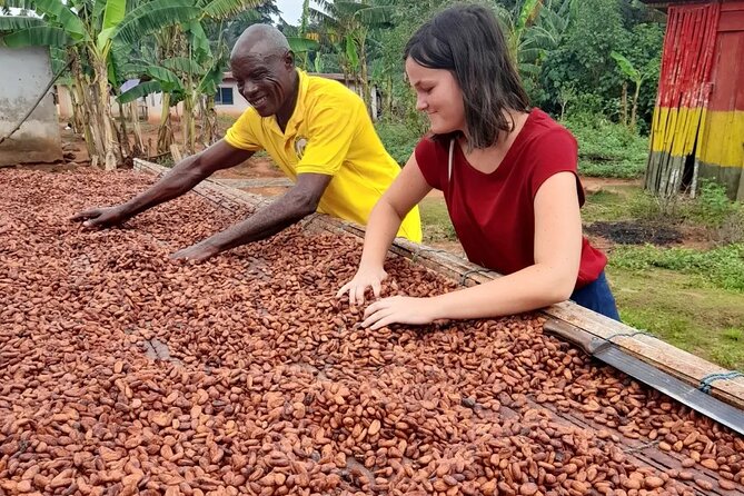 1 Day cocoa farm tour - Timing, weather, and comfort tips that keep your day smooth