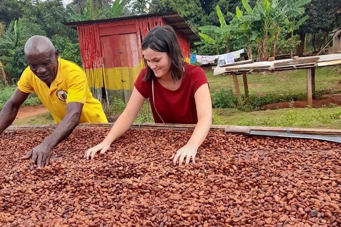 1 Day cocoa farm tour - A private guide changes the tone of the whole day