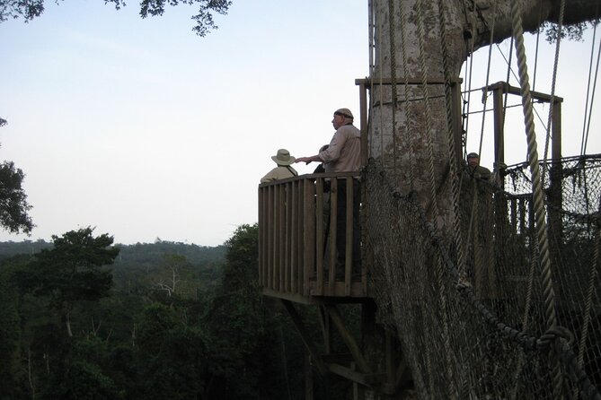 15-Day Ghana Wildlife Private Tour - Kakum National Park: canopy first light, then night walks for elusive mammals