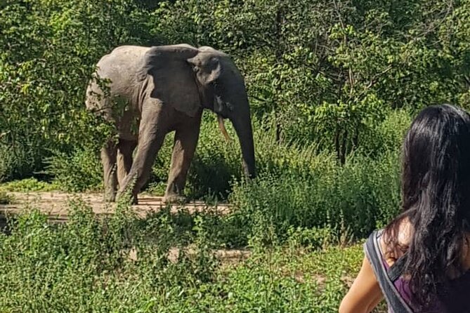 2 Days (1 night) Elephants Safari at Mole Park with Round - trip flights - Staying comfortable in heat and moving fast on short timelines