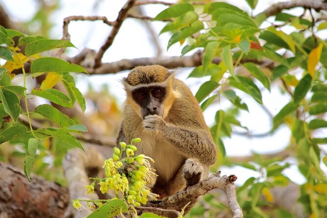 2Days private explore volta region - Day one from Accra: independence arch pickup, then Lake Volta and Akosombo