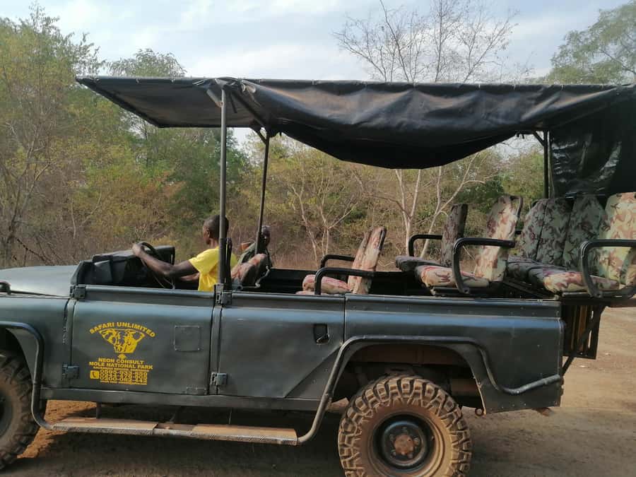 3 Days Elephant Safari at Mole Park with round trip flights - The safari hike day: elephants, baboons, and reading the park