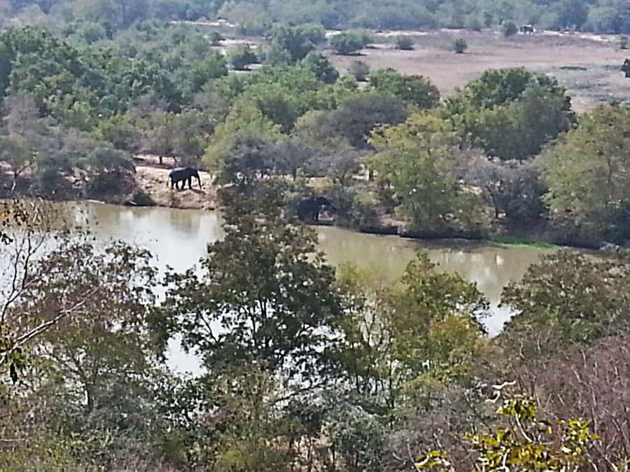 3 Days Elephant Safari at Mole Park with round trip flights - Larabanga Mosque: ancient architecture, strict boundaries, and real questions