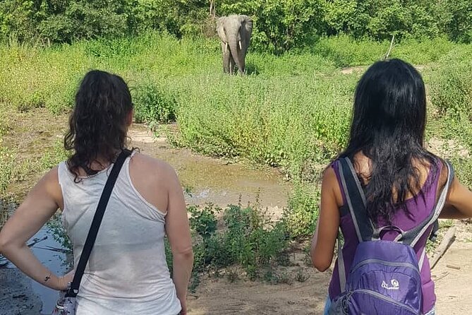 3 Days Elephants Safari at Mole Park with Round - trip flights - Key points to know before you go
