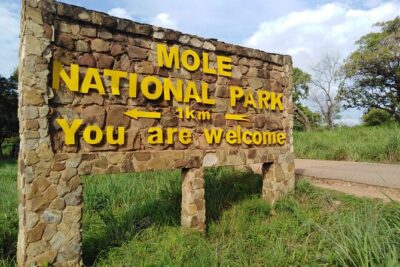 3 Days Elephants Safari at Mole Park with Round – trip flights