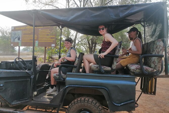 3 Days Elephants Safari at Mole Park with Round - trip flights - Comfort, timing, and packing tips for an early-start safari