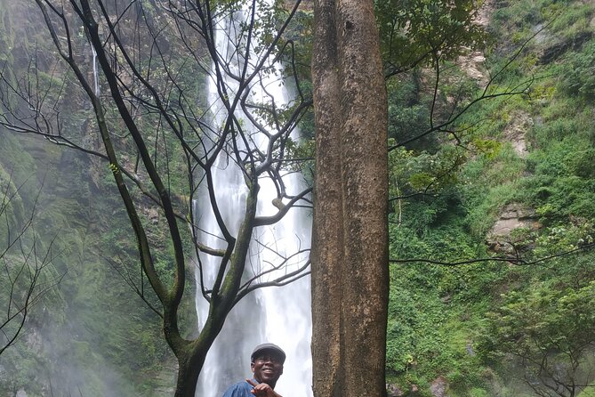 3 Days Private Wanderlust Eco Tour in Volta, Ghana. - Day 3 monkey tour in natural habitat, then back to Accra