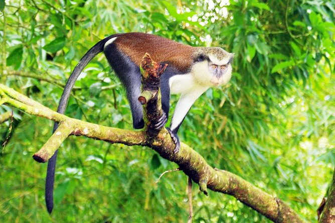 4 Days Cultural and Village Stay Experience - Key Things You’ll Really Notice on This Tour
