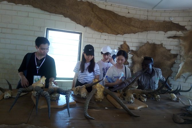 5 Days Adventurous Wildlife Safari - Mole National Park, Tamale, and the best kind of safari mix