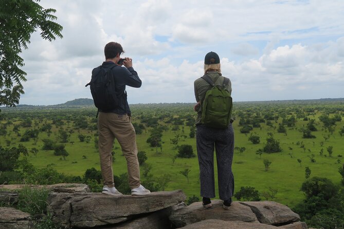 7-Day Private Cultural and Heritage Tour in Ghana - Volta mornings and an Ashanti craft day: Kente weaving, Adinkra stamps, and Ahwiaa carvings