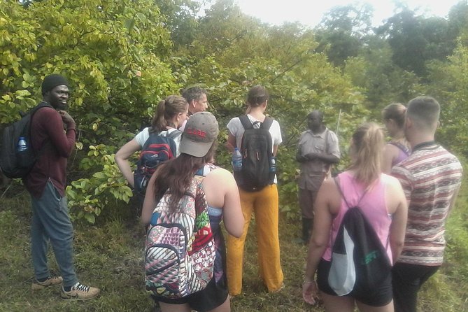 7days/6nights Eco Tourism - Day 4: Bobiri Forest Reserve, Boabeng Fiema monkeys, and the Tano sacred grove