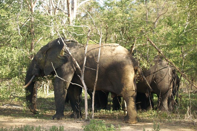 7days/6nights Eco Tourism - Price and logistics: what you get for $1,980 per person