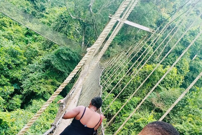 9-Day Private Guided Tour of West Africa (Ghana, Togo & Benin) - Monkeys at Tafi Atome and the hike to Wli Waterfalls