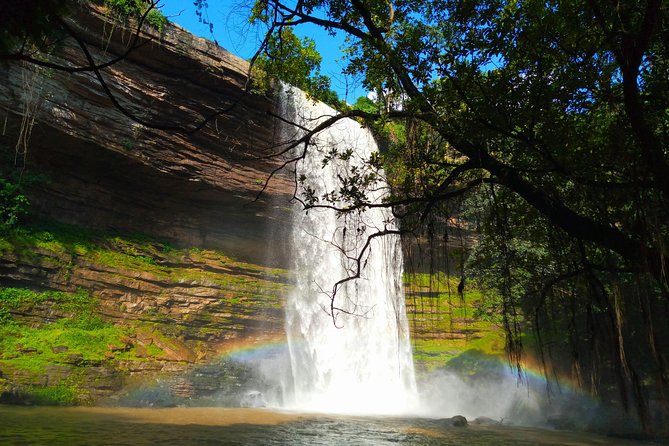 A Tour to Boti Falls - Key highlights that make this Boti Falls day trip worth it