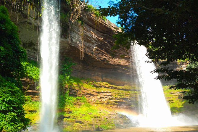 A Tour to Boti Falls - Three Headed Palm Tree and the fertility rock stop