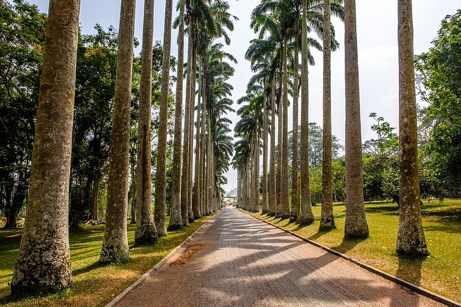 Aburi Botanic Gardens and Boti Falls Full-Day Private Tour - Key highlights worth planning around
