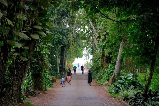 Aburi Botanic Gardens and Boti Falls Full-Day Private Tour - Getting picked up at Accra Mall (and why a real start time helps)