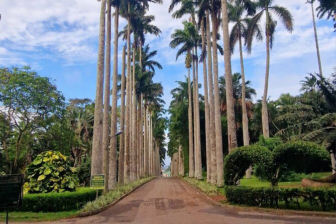 Aburi Botanic Gardens, Boti Falls,Umbrella Rock & Cocoa Farm Tour - Key Highlights You Should Know Before You Go