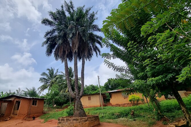 Aburi Botanic Gardens, Boti Falls,Umbrella Rock & Cocoa Farm Tour - A Smart Accra Day Out: Four Stops, One Guided Loop