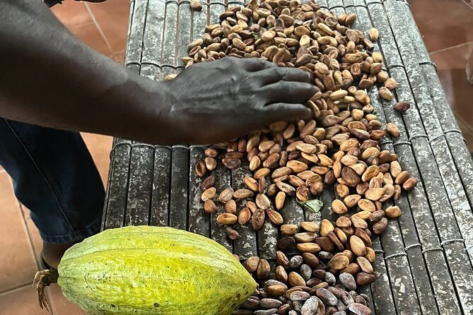 Aburi Botanic Gardens, Boti Falls,Umbrella Rock & Cocoa Farm Tour - Boti Falls: Twin Waterfalls, 250 Steps, and a Real Chance to Cool Off