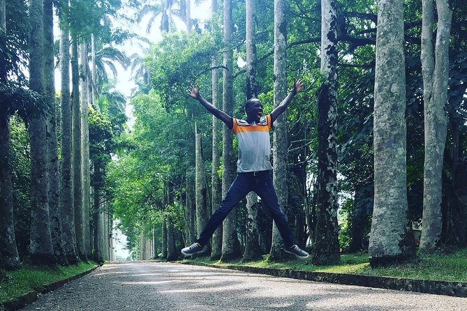 Aburi Gardens and Tetteh Quarshie Farms - Key highlights to expect on this Aburi and cocoa tour