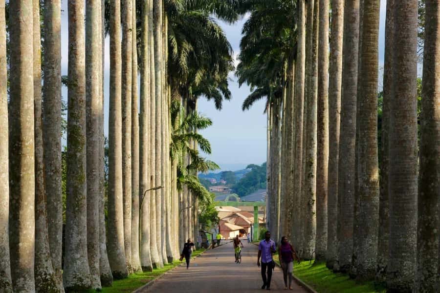 Accra Aburi Eco & Cocoa Experience: Gardens Waterfall &Lunch - Kaya Tours Ghana Day Plan, From Pickup to Crafts Village