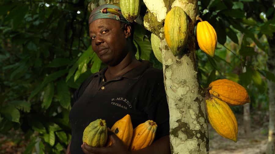 Accra Aburi Eco & Cocoa Experience: Gardens Waterfall &Lunch - Aburi Botanical Gardens and the Gardens Waterfall Walk