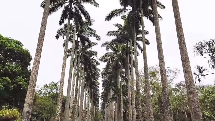 Accra: Eastern Region Waterfalls Tour - Accra Mall Pickup at 7:00 AM, Then a Waterfall Route That Moves