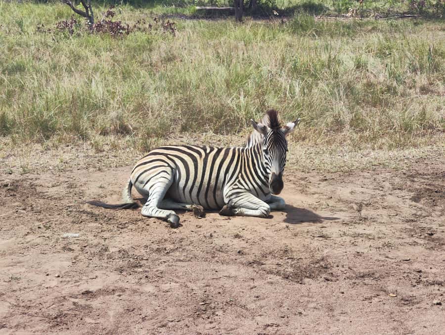 Accra: Half day private safari with pick up - From Accra to Shai Hills, the comfort matters
