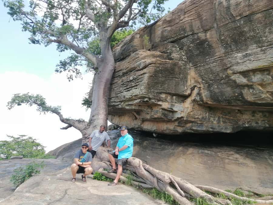 Accra: Half day private safari with pick up - The animal farm and museum: where the visit gets practical
