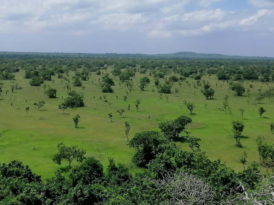 Accra: Half day private safari with pick up - The optional assisted rock climbing, and who should choose it