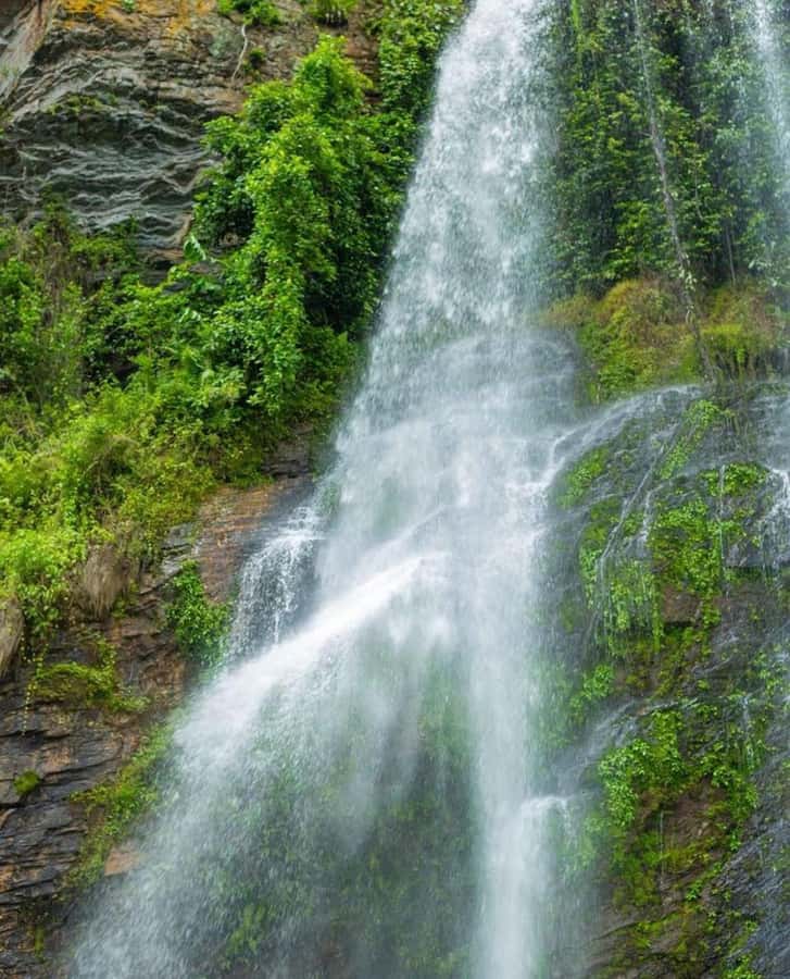 Accra: Tafi Kente Village, Monkey Sanctuary &Wli Waterfalls - Key things to know before you go