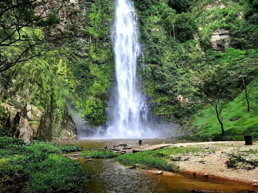 Accra: Tafi Kente Village, Monkey Sanctuary &Wli Waterfalls - Pacing and comfort during a 10-hour trip