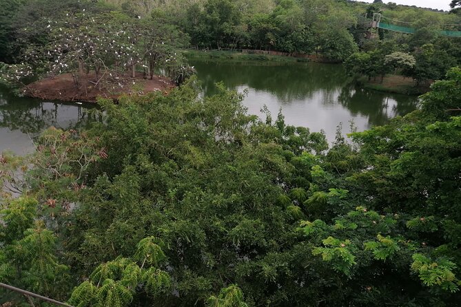 Accra Zoo, Canopy Walk and Botanical Gardens Private Tour - Accra Zoo: A manageable zoo visit with lions, snakes, and more