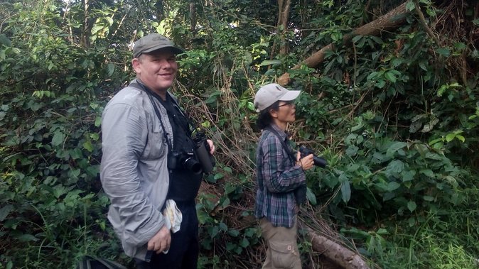 Bird watching tours , cultural and historical tours of Ghana. - Getting the most out of the 6:00 am start and the private pace