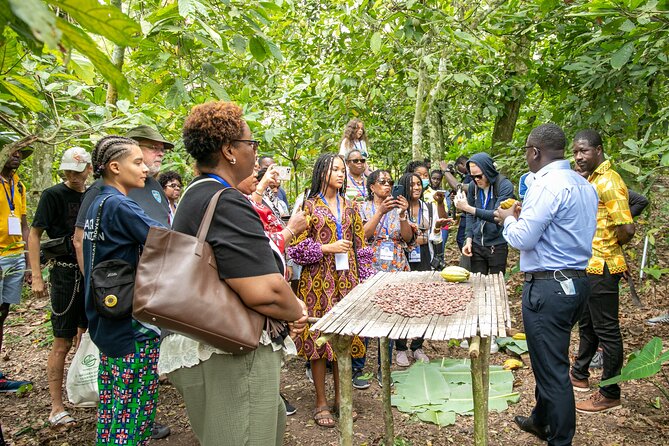 Boti Falls, Botanic Gardens, Cocoa Fam, Umbrella Rock Experience - A full nature and chocolate route from Accra, with real time at each stop