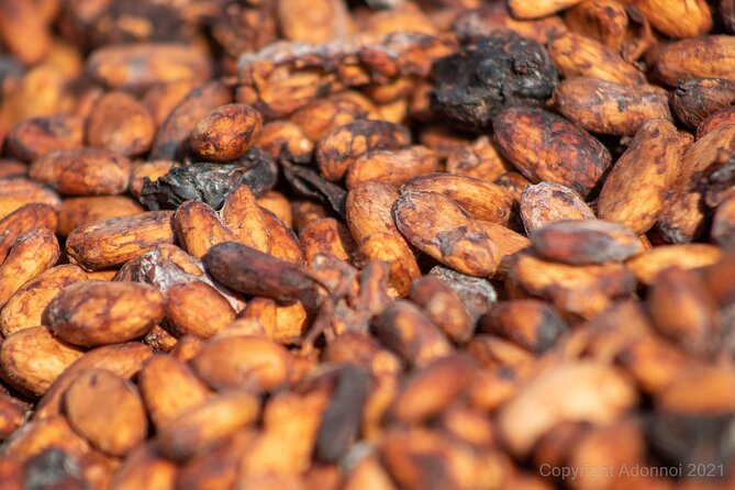 Boti Falls, Umbrella Rock, Aburi Gardens & Cocoa Farm Day Tour - Key highlights worth knowing before you go