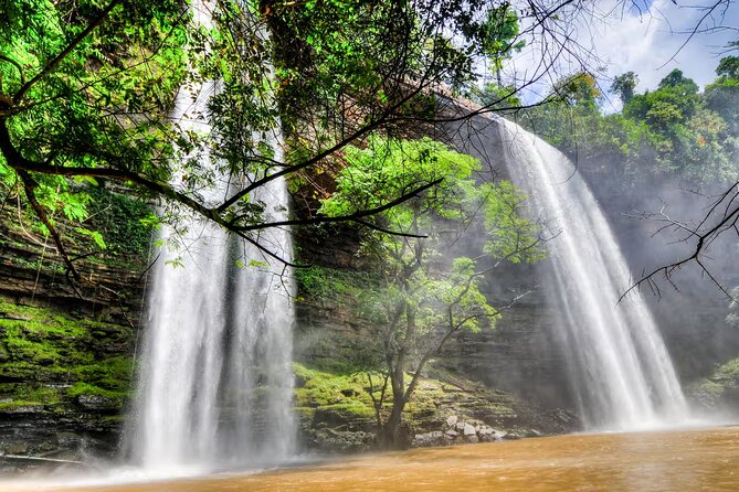 Boti Falls, Umbrella Rock, Aburi Gardens & Cocoa Farm Day Tour - Aburi Botanical Gardens: 64.8 hectares of trees and practical explanations