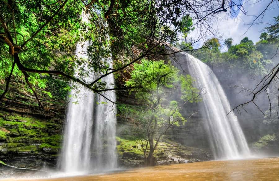 Boti Falls, Umbrella Rock, Aburi Gardens & Cocoa Farm Tour - Key reasons this tour works well