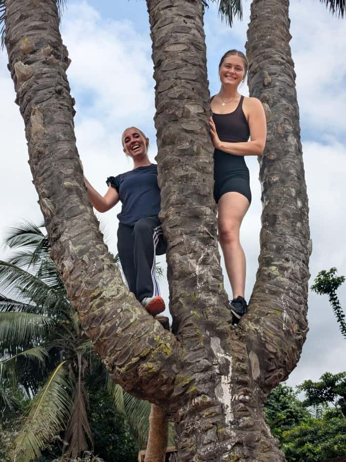 Boti Falls, Umbrella Rock, Aburi Gardens & Cocoa Farm Tour - Aburi Botanical Gardens: the cool, guided stroll that sets your pace