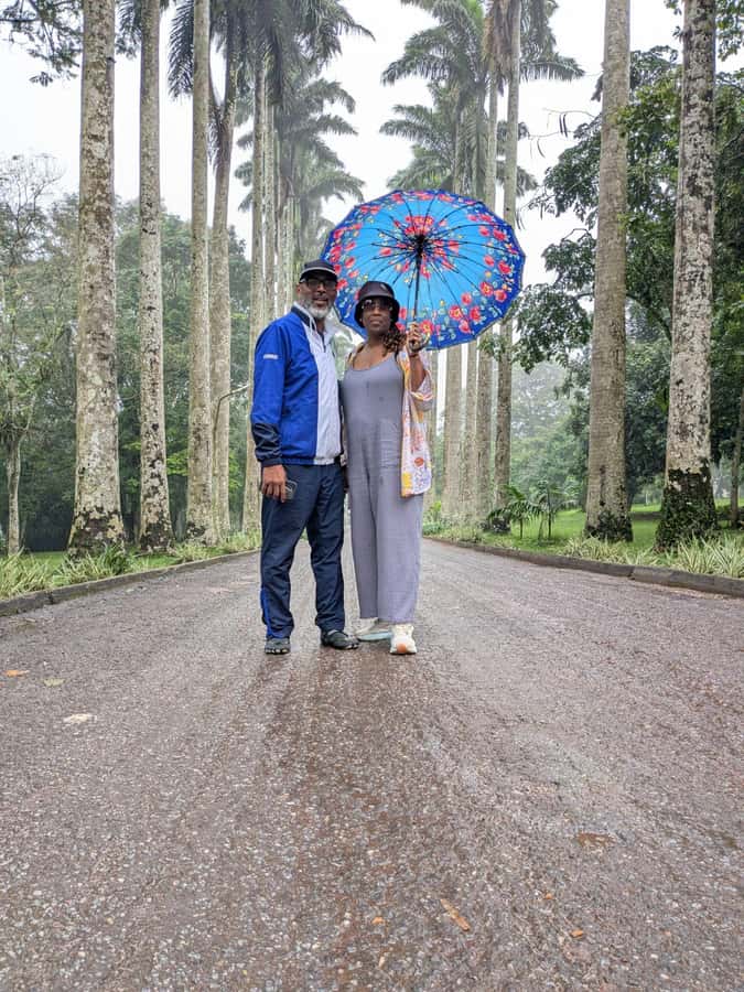 Boti Falls, Umbrella Rock, Aburi Gardens & Cocoa Farm Tour - Boti Falls hike: twin waterfalls, forest shade, and a unique palm detail