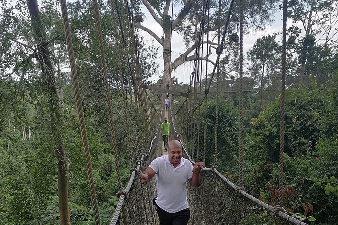 Cape Coast Day Tour in Ghana - Kakum National Park canopy walk: seven bridges about 130 feet up