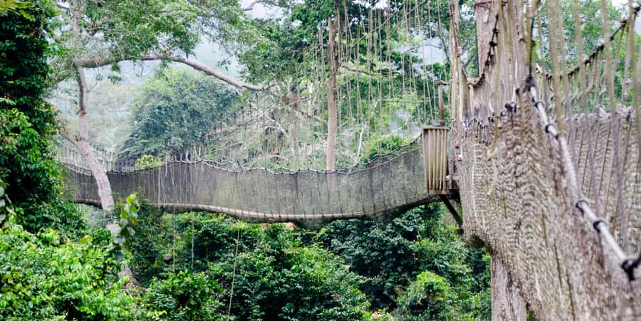 Cape Coast: Kakum National Park, Castles, & Hans Cottage - A One-Day Mix of Kakum Canopy Wildlife and Cape Coast Fort History