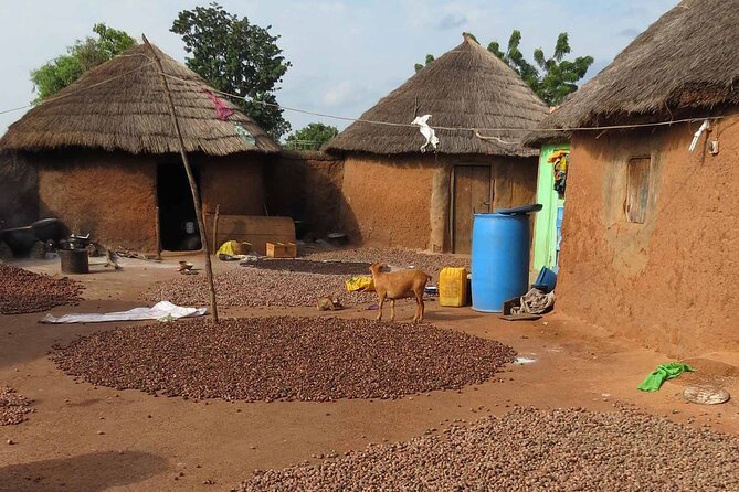 Cultural Village Tour: Traditional Naming Ceremony - Key Things to Know Before You Go