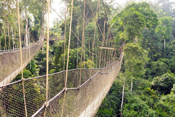 Day Tour to Kakum National Park, Cape Coast and Elmina Castles - The Ride From Accra and the Denkyira Kingdom Route