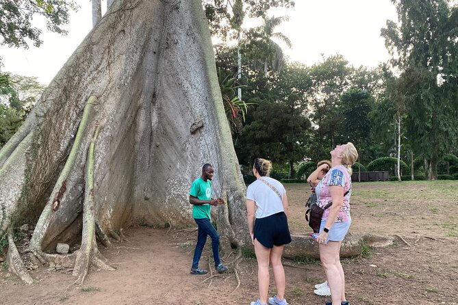 Day Trip Near Accra - Visit Aburi Gardens, Waterfall & Cocoa Farm - Key highlights you will feel right away