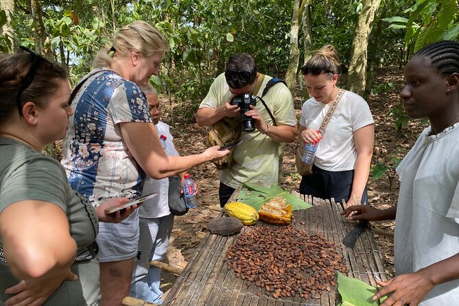 Day Trip Near Accra - Visit Aburi Gardens, Waterfall & Cocoa Farm - Why Aburi Hills Make This Short Trip Worth It