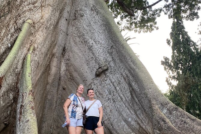 Day Trip Near Accra - Visit Aburi Gardens, Waterfall & Cocoa Farm - Stop 1: Aburi Botanical Gardens, Shade, Orchids, and Conservation Talk