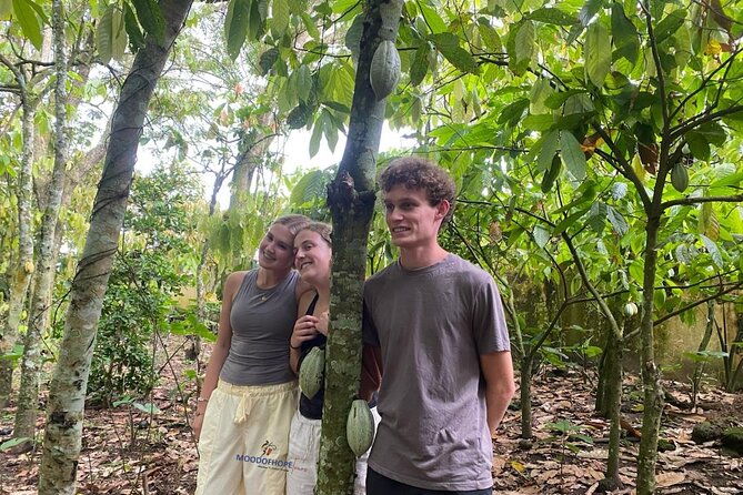 Day Trip Near Accra - Visit Aburi Gardens, Waterfall & Cocoa Farm - Stop 2: Tetteh Quarshie Cocoa Farm, Ghana’s First Commercial Cocoa Plantations